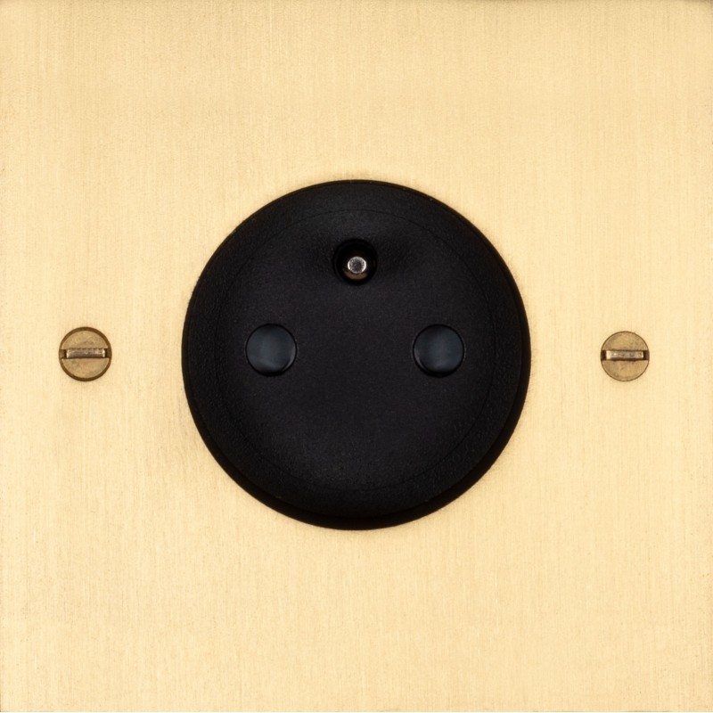 French power socket in solid brass brushed finish